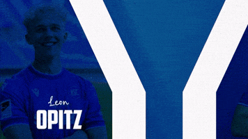 Soccer Bundesliga GIF by Karlsruher SC