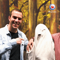 omrop_fryslan feest friesland fryslan springen GIF