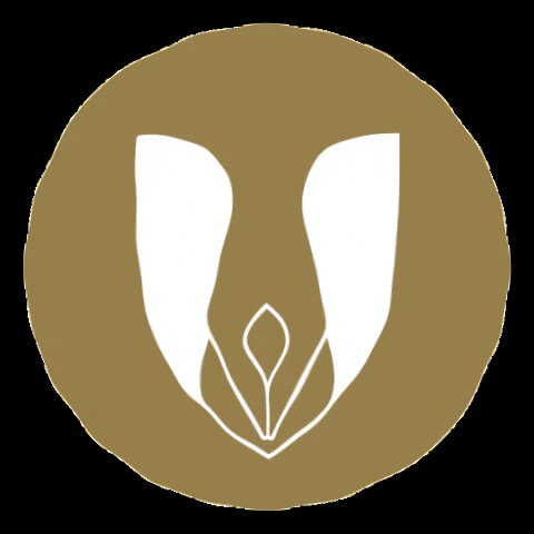 cartoriodebalsas maranhao balsas cartorio cartorios GIF