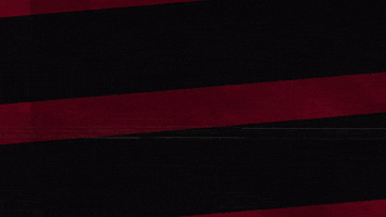 Western Sydney Wanderers Laughing GIF by wswanderersfc