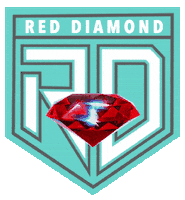 F45 North Paramus Red Diamond Sticker by F45NorthParamus