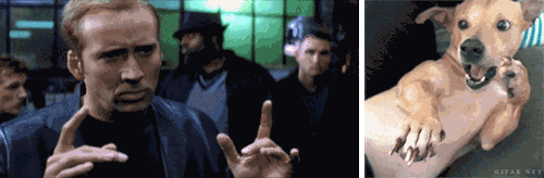 Excited Lets Go GIF