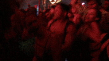 Music Festival Dancing GIF by Bonnaroo Music and Arts Festival