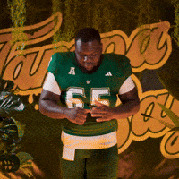 College Football GIF by USF Athletics