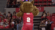 liga endesa dancing GIF by ACB