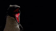 Bohemian Rhapsody Queen GIF by Muppet Wiki
