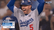 Celebrate World Series GIF by MLB