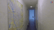 University Study GIF by Creative Business HU