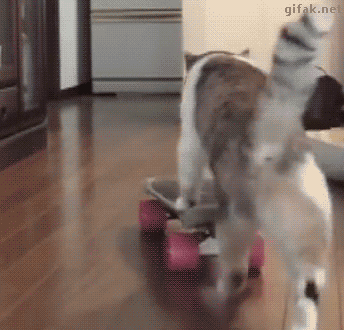 GIF by Demic