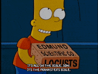 homer simpson episode 13 GIF