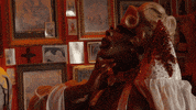 Drag Queen Halloween GIF by BouletBrothersDragula