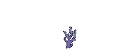 Coral Reef Sea Sticker