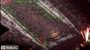 Ncaa Sports GIF by Ohio State Athletics