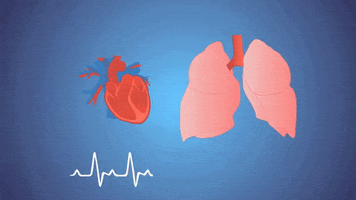 ohsusocial  GIF