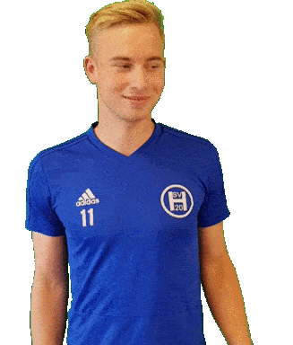 svheek giphyupload hsv heek svheek Sticker