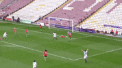 football soccer GIF by Blackburn Rovers