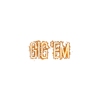 Independence Day Fire Sticker by Texas A&M University