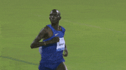 run usatf running GIF by RunnerSpace.com