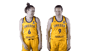 Eurobasket Women Twins Sticker by Sweden Basketball