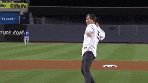 New York Yankees Sport GIF by MLB