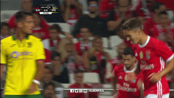 SL_Benfica benfica slb sl benfica slbenfica GIF