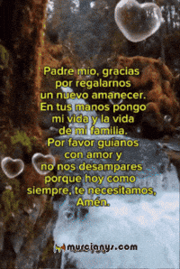 Flores Saludos GIF by Murcianys LLC