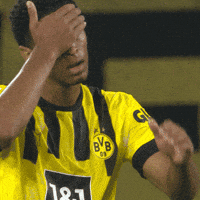Bellingham GIF by Borussia Dortmund