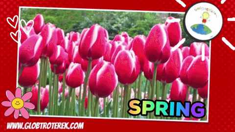Flower Spring GIF by Globtroterek