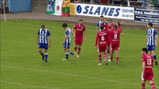 Team Spirit Celebration GIF by Cliftonville Football Club