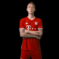 Game Football GIF by FC Bayern Munich