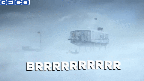 Snow Storm GIF by GEICO