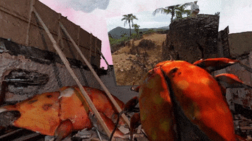 Virtual Reality Brazil GIF by biancakennedy
