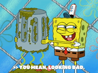season 6 gullible pants GIF by SpongeBob SquarePants