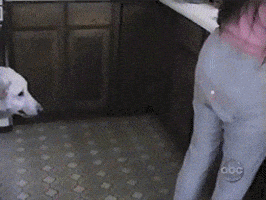 Dog Nip GIF