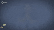 Word Linguistics GIF by PBS Digital Studios