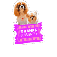 Cavalierkingcharlesspaniel Sticker