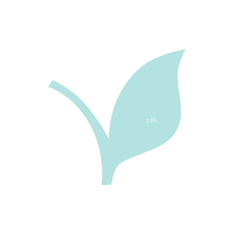 paperflaneur giphyupload nature green leaf Sticker