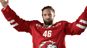 Lhc Lausannehc Sticker by Lausanne Hockey Club