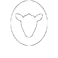 Sheep Jumping Sticker by Black Sheep Cycling