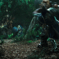 GIF by Warcraft