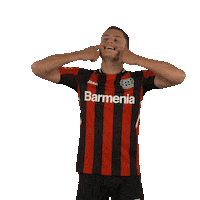 Move Werkself Sticker by Bayer 04 Leverkusen