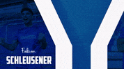 Soccer Bundesliga GIF by Karlsruher SC