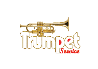 Sing Musical Instrument Sticker by DOWNSIGN
