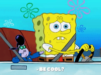 season 8 GIF by SpongeBob SquarePants