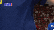 GIF by Volleyball World