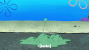 season 9 safe deposit krabs GIF by SpongeBob SquarePants