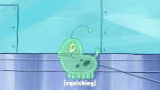season 9 safe deposit krabs GIF by SpongeBob SquarePants