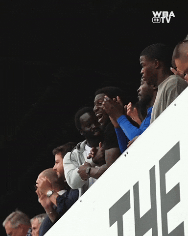 Championship Wba GIF by West Bromwich Albion