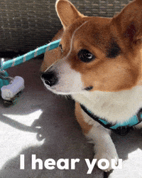 I Hear You GIF