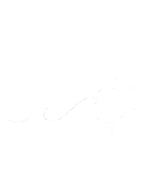 Summer Water Sticker